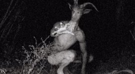075755100_1460976601-Everyone-is-freaking-out-over-sightings-of-the-Goatman.jpg