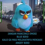 Blue Bird Rebranding Jadi Angry Bird.jpg