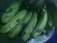 00 aa Pisang25.jpg