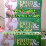 Fruit Plant.jpg