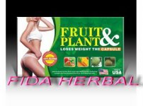 FRUIT-PLANT ..jpg