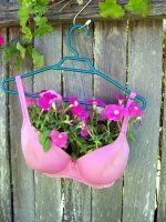 Plant a Bra Pink.JPG