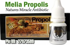 Propolis-Ori.jpg