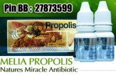 Propolis-original.jpg