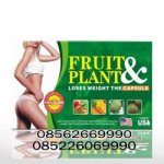 pelangsing-badan-fruit-plant.jpg