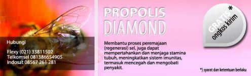 PropolisBanner.jpg