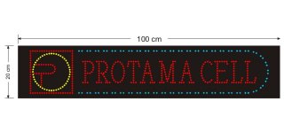 Protama Cell 05.jpg