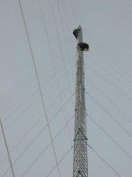 tower triangle guy wire besi beton  50m.JPG