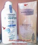 th_paket-kaminomoto1-249x300.jpg