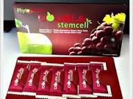 images stem cell.jpg