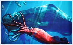 giant-squid.jpg