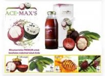 Ace Maxs Rosella.jpg