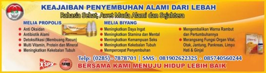 propolisindonesia.jpg
