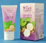 Pembesar-Payudara-Wish-Premium-Breast-Up-Cream-WS-01.jpg