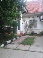 griajkt7a.jpg