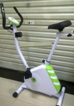 green bike (1).jpg