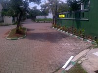 IMG-20160113-00153edita.jpg