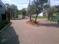 IMG-20160113-00151edita.jpg
