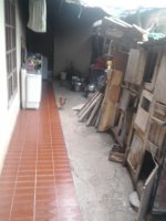 Foto0499.jpg