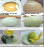 image_thumb[2].png