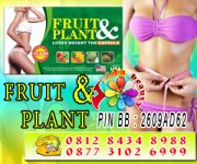 FRUIT PLANT.jpg