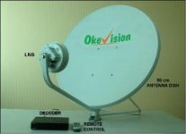 okevision.jpg