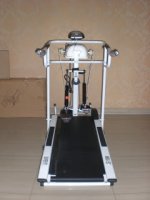 treadmill 6 in 1.JPG