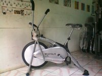 Sepeda Terapi Platinum Bike (3).jpg