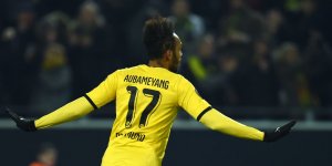 auba1_5b12985.jpg