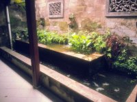 20160209_083552a.jpg