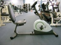 sepeda magnet recumbent (7).jpg