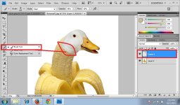 06. BananaDuck.jpg