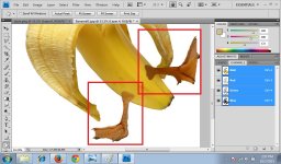 08. BananaDuck.jpg