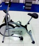 Sepeda Terapi Platinum Bike (11).jpg