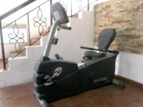 recumbent 2.jpg