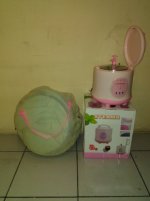 sauna-portable-1.jpg