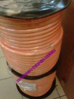 IMG02792-20130903-1351.jpg