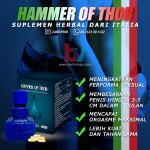 hammer of thor asli.jpg