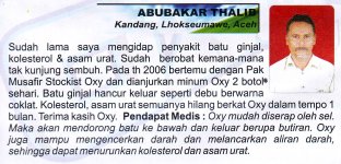 batu ginjal kolesterol asam urat.jpg