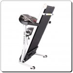 treadmill-venice-7-horz.jpg