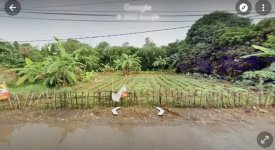 Tanah Dijual di Serang Baru Bekasi Dekat Pasar Serang Bekasi, RS Budi Asih Cikarang, Politekn...jpeg