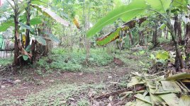 Tanah Dijual di Pancoran Mas Depok Dekat D'Kandang Amazing Farm, RS Permata Depok, Gerbang Tol...JPG
