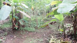 Tanah Dijual di Pancoran Mas Depok Dekat D'Kandang Amazing Farm, RS Permata Depok, Gerbang Tol...JPG