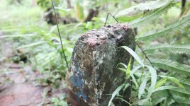 Tanah Dijual di Pancoran Mas Depok Dekat D'Kandang Amazing Farm, RS Permata Depok, Gerbang Tol...JPG