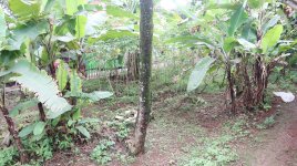 Tanah Dijual di Pancoran Mas Depok Dekat D'Kandang Amazing Farm, RS Permata Depok, Gerbang Tol...JPG