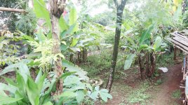 Tanah Dijual di Pancoran Mas Depok Dekat D'Kandang Amazing Farm, RS Permata Depok, Gerbang Tol...JPG