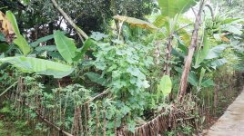 Tanah Dijual di Pancoran Mas Depok Dekat D'Kandang Amazing Farm, RS Permata Depok, Gerbang Tol...JPG