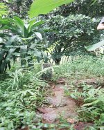 Tanah Dijual di Pancoran Mas Depok Dekat D'Kandang Amazing Farm, RS Permata Depok, Gerbang Tol...JPG