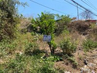 Tanah Dijual di Labuan Badas Sumbawa Nusa Tenggara Barat Dekat Pelabuhan Badas, Terminal Sume...jpeg