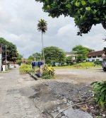 Jual Tanah 1.259 m2 di Mlati Sleman Yogyakarta Dekat Universitas Gajah Mada, Kampus UNY, Kamp...jpeg